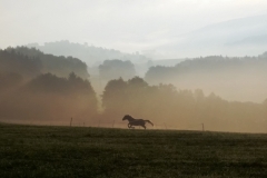 Sonnenaufgang mit Nebel 2